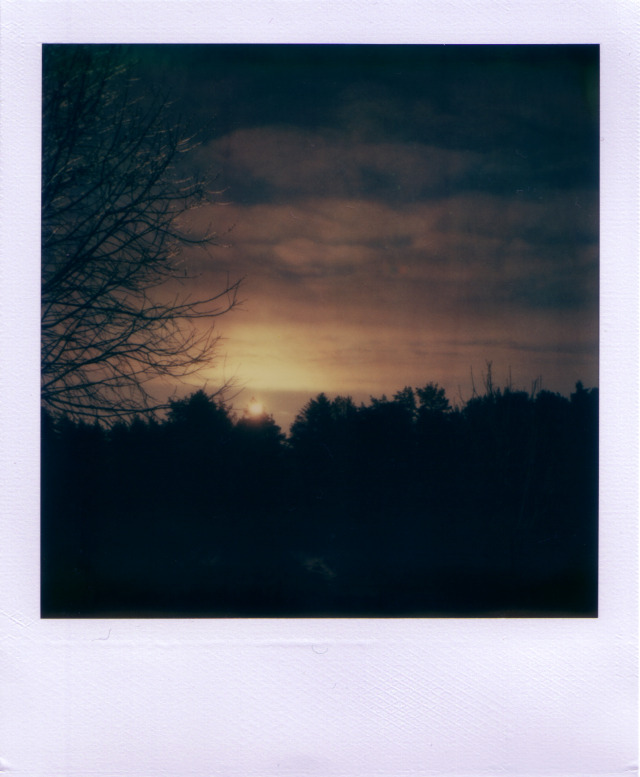 TZ_Artistic_2_091225_2_of_8_640